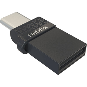 SanDisk SDDDC1-064G-G35